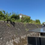 東側　隣地境界状況 (周辺)