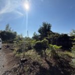 贅沢づくりな平家。ゆったり環境のスローライフはいかがでしょうか？！ 画像22