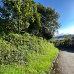 閑静地です！現在、花づくり、家庭菜園に利用しています♪いかがでしょうか？ 画像3